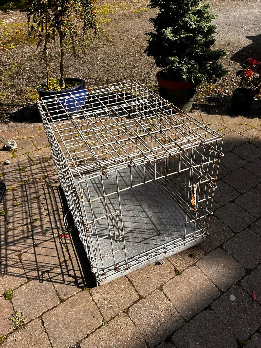 Dog Crates - Image 2