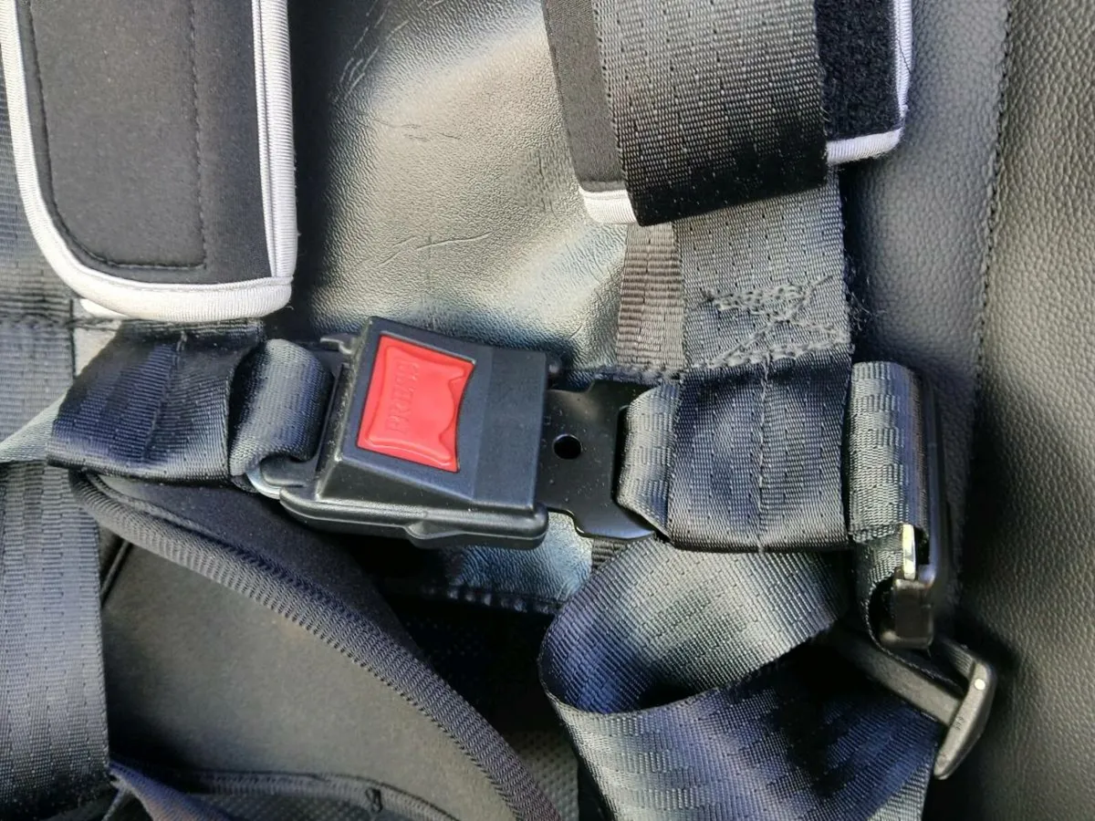 Crelling Harness number 28 - Image 4