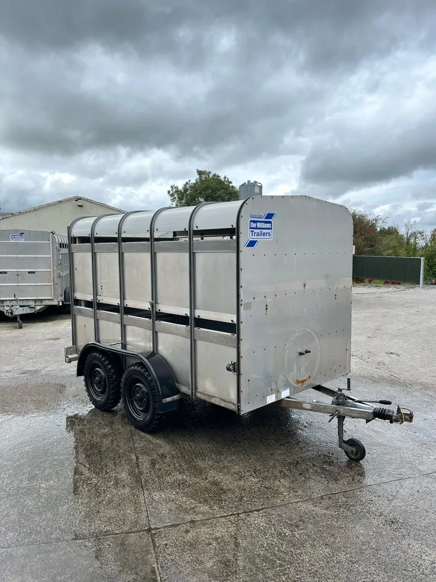 CJS Ifor Williams Livestock Trailer - Image 1