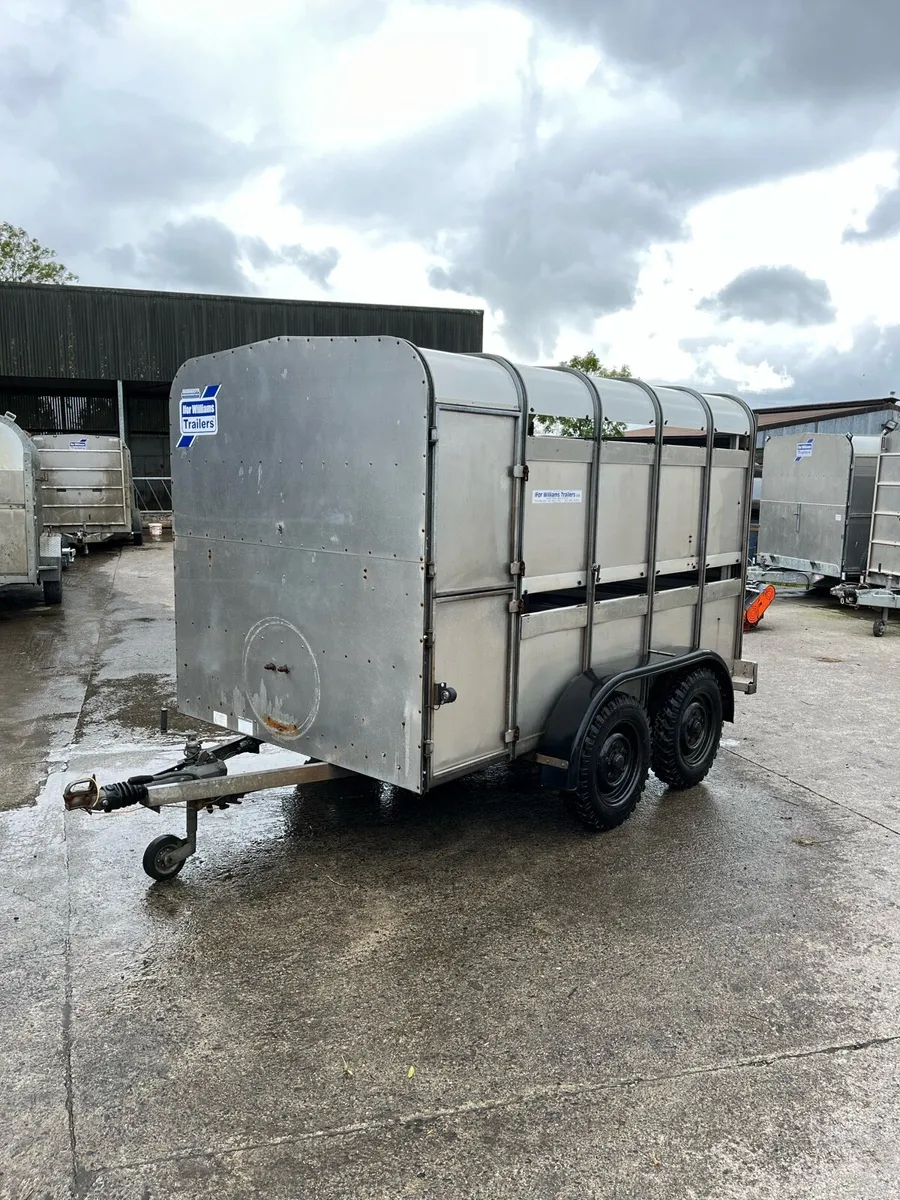CJS Ifor Williams Livestock Trailer - Image 2
