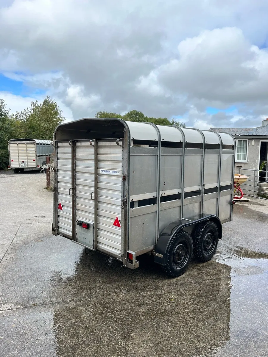 CJS Ifor Williams Livestock Trailer - Image 3