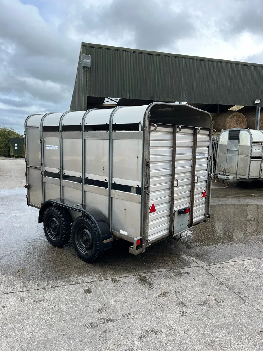 CJS Ifor Williams Livestock Trailer - Image 4