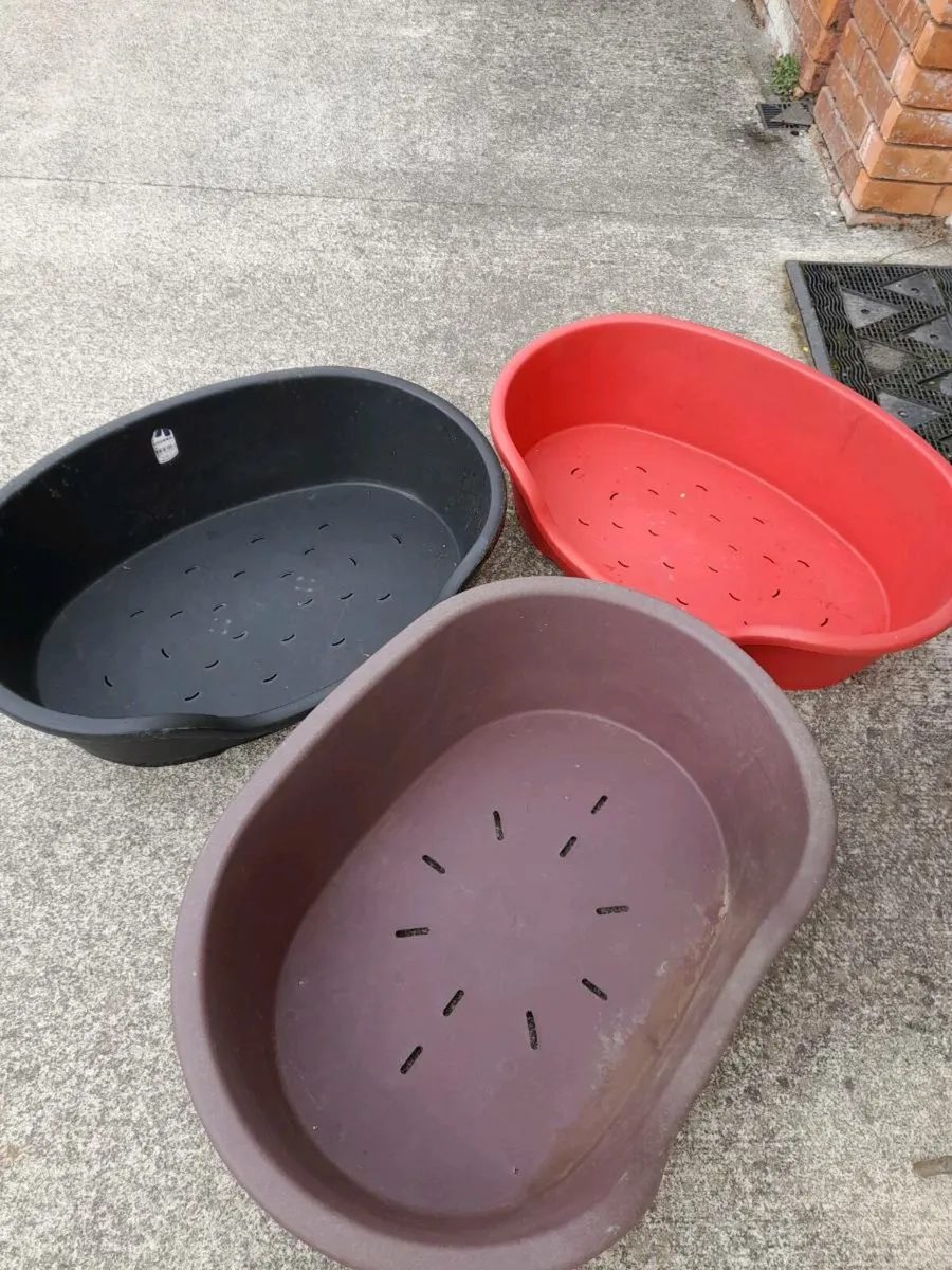 Dog baskets