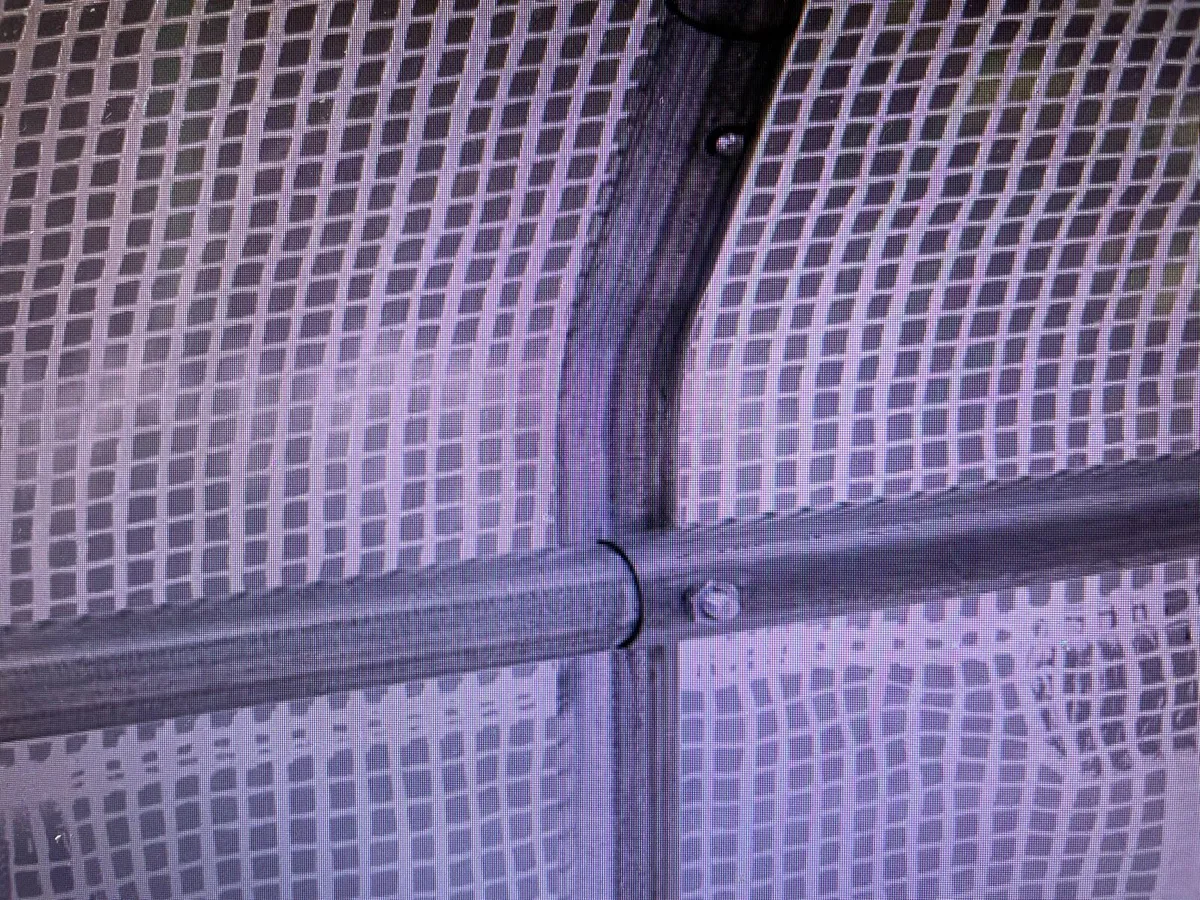 POLYTUNNEL - Image 2