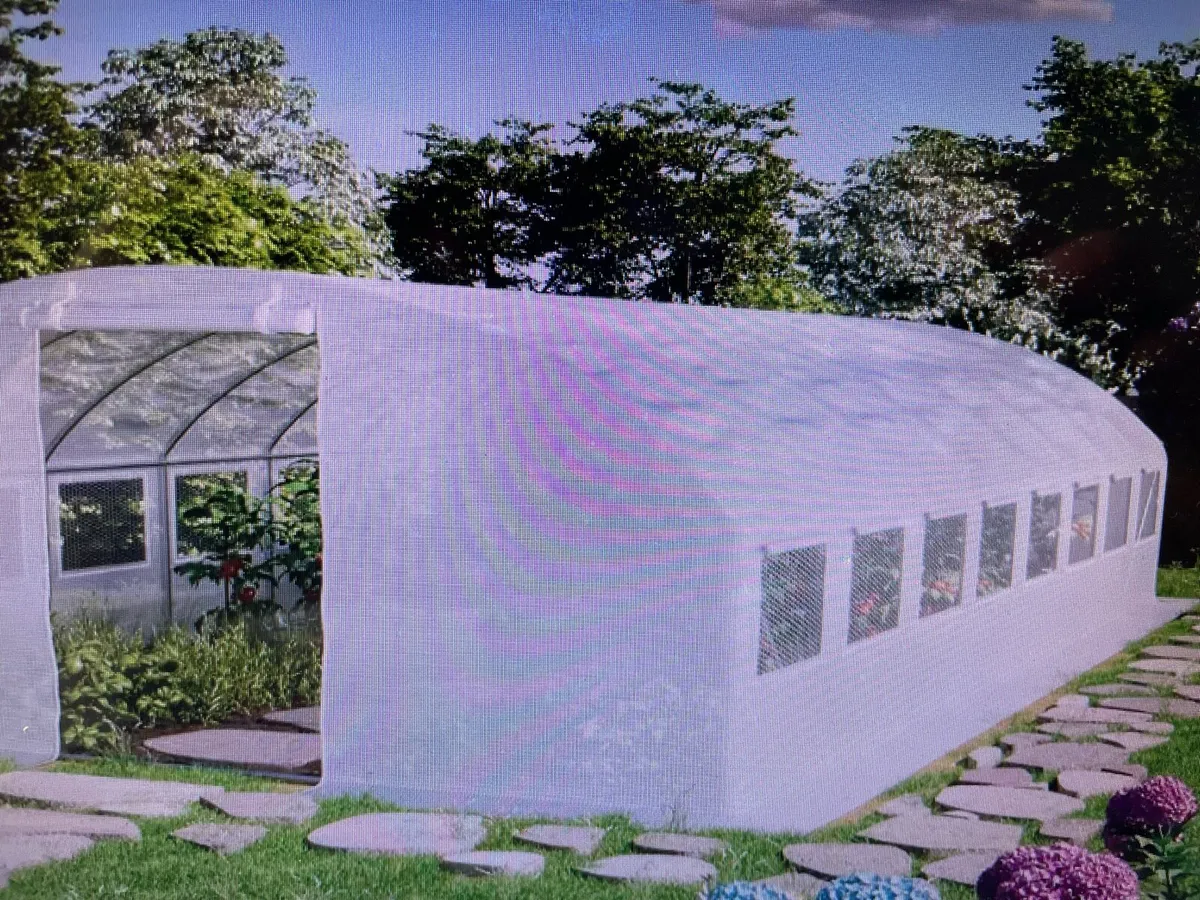 POLYTUNNEL - Image 3