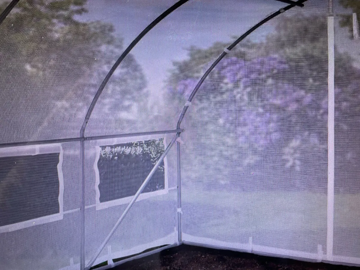 POLYTUNNEL - Image 4
