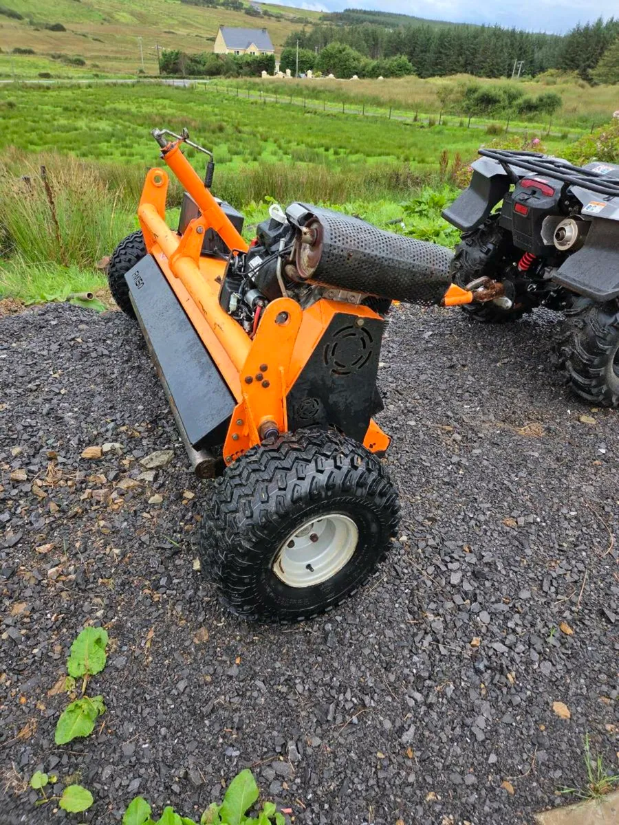 Chapman flail mower - Image 4