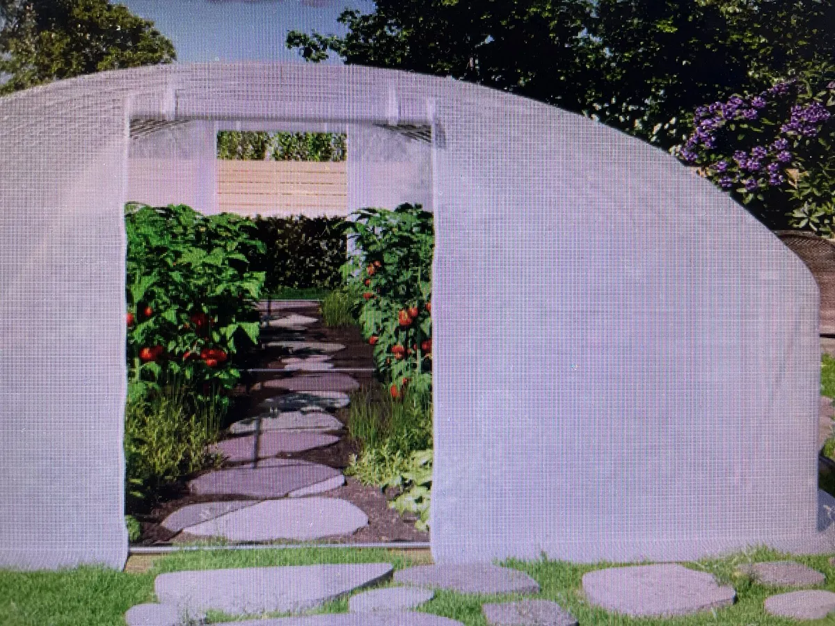 POLYTUNNEL 4X10 - Image 3