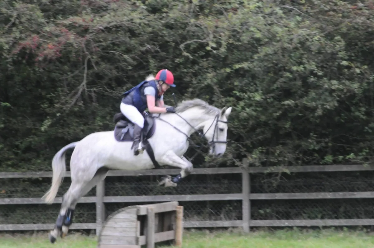 Horse - Image 1
