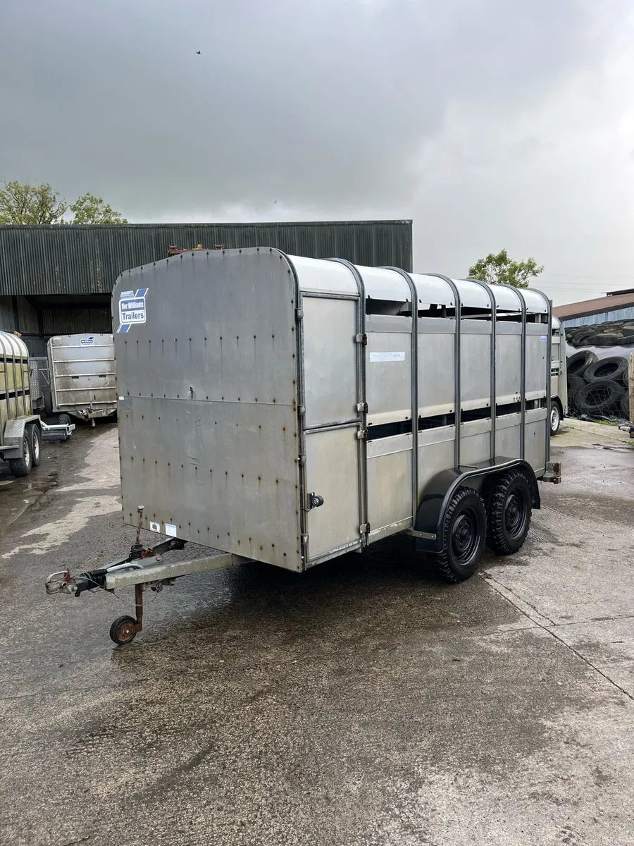 CJS Ifor Williams Livestock trailer - Image 1