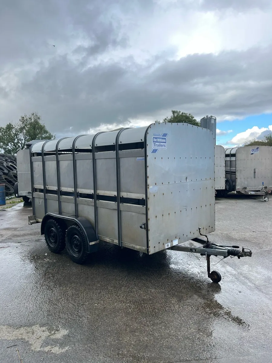 CJS Ifor Williams Livestock trailer - Image 2