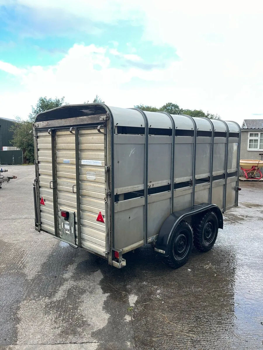 CJS Ifor Williams Livestock trailer - Image 3