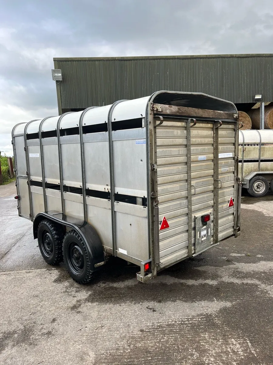 CJS Ifor Williams Livestock trailer - Image 4