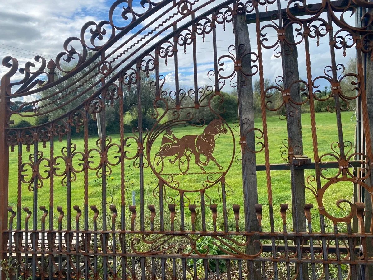 Wrought iron gates - Image 4