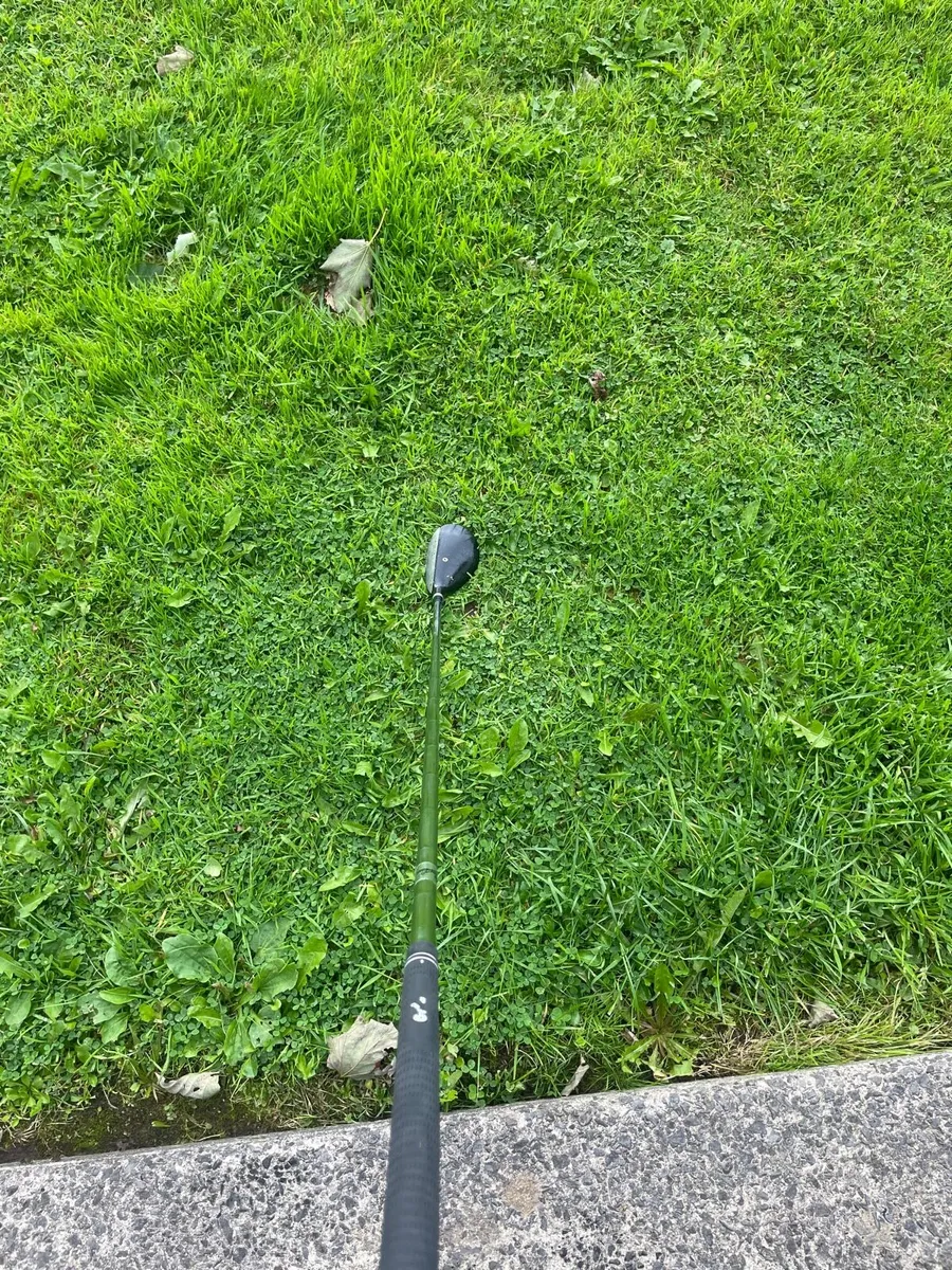 Golf hybrid - Image 1