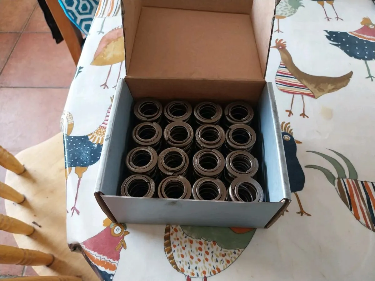 Honda b series skunk2 valve springs - Image 1