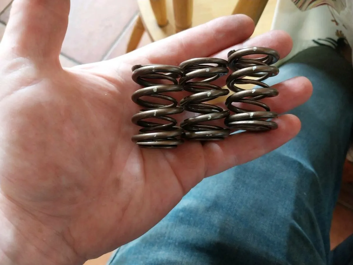 Honda b series skunk2 valve springs - Image 4