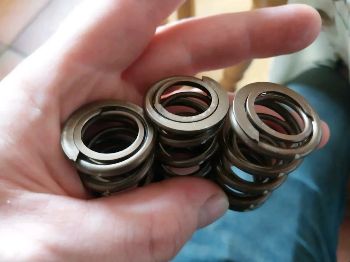 Honda b series skunk2 valve springs - Image 3