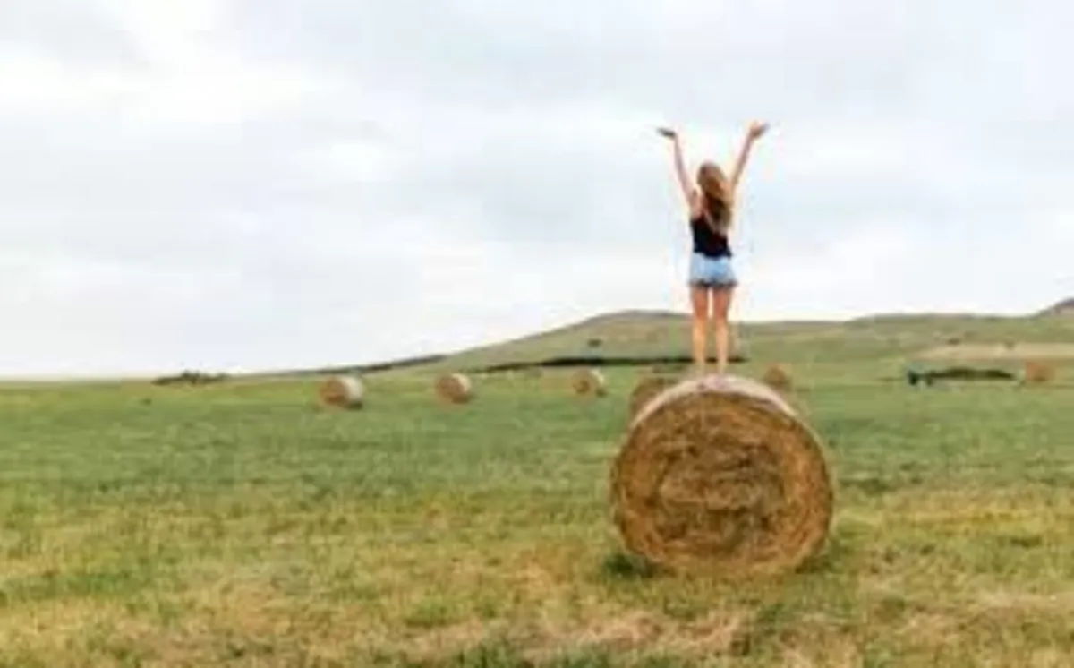 Hay Straw, Biggest in the west.