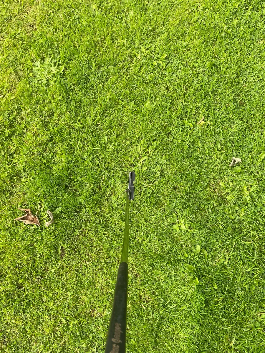 Putter - Image 4