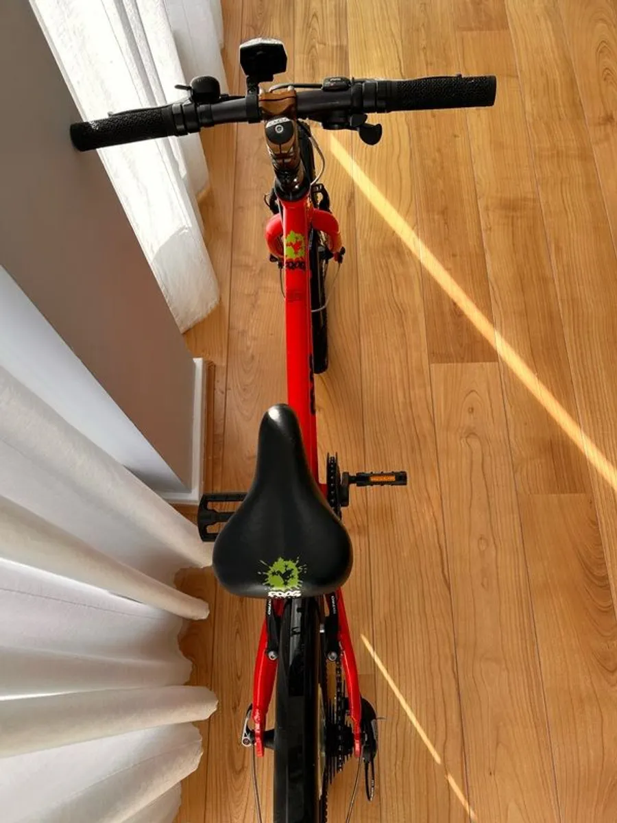 Frog 52 inch - Image 2