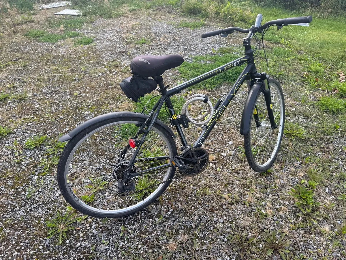 2 Kelly’s Hybrid Bikes Male and Female - Image 3