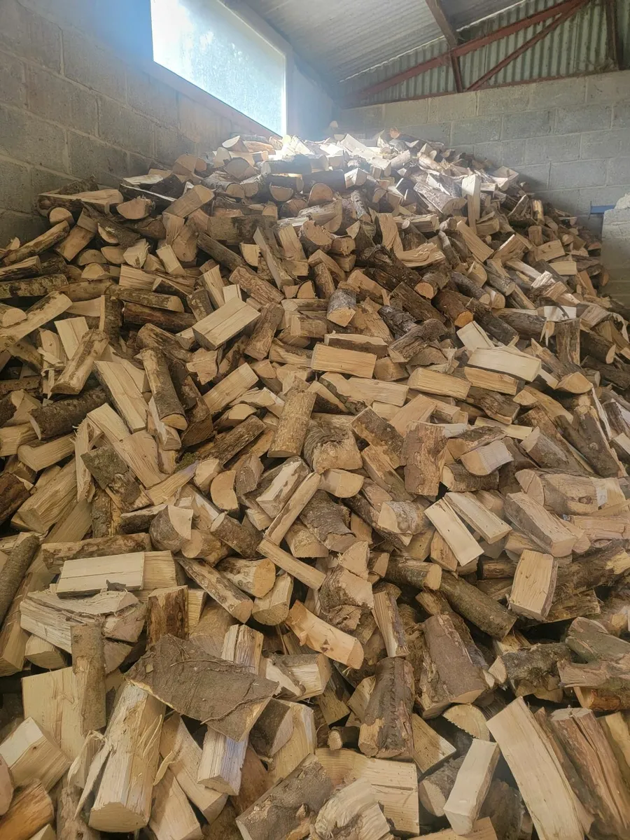 Firewood - Image 2