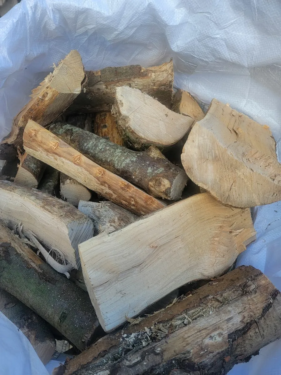 Firewood - Image 4