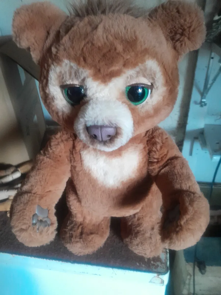 Fur real chubby  the curious bear - Image 1