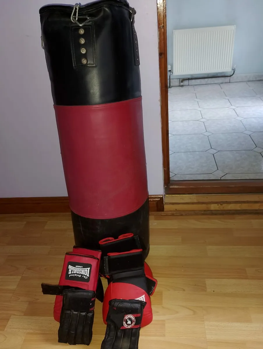 Heavy Duty Boxing Bag W/Kickboxing Gloves and Hook