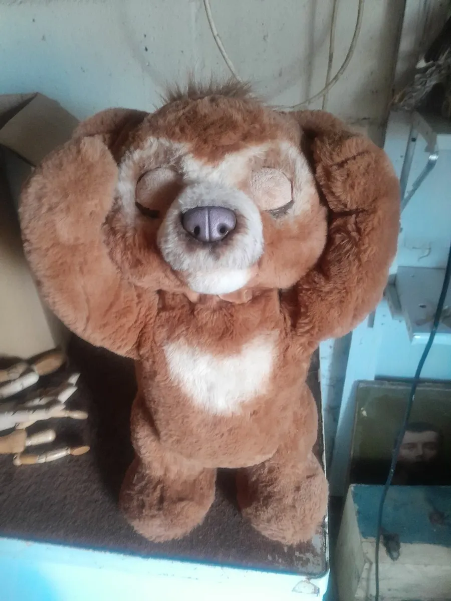Fur real chubby  the curious bear - Image 3