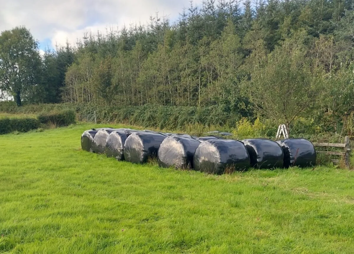 Bales