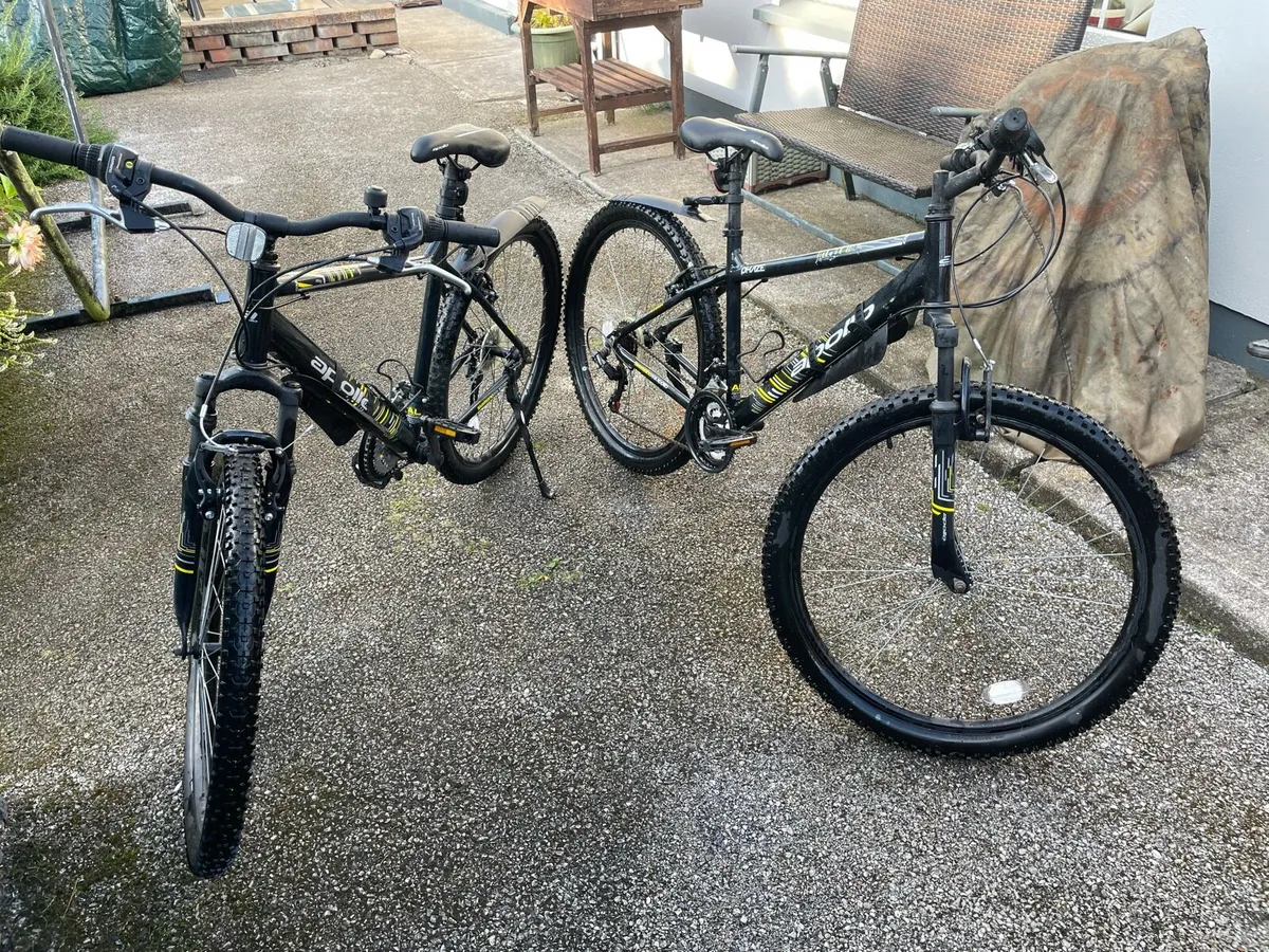 Bicycle - Image 1