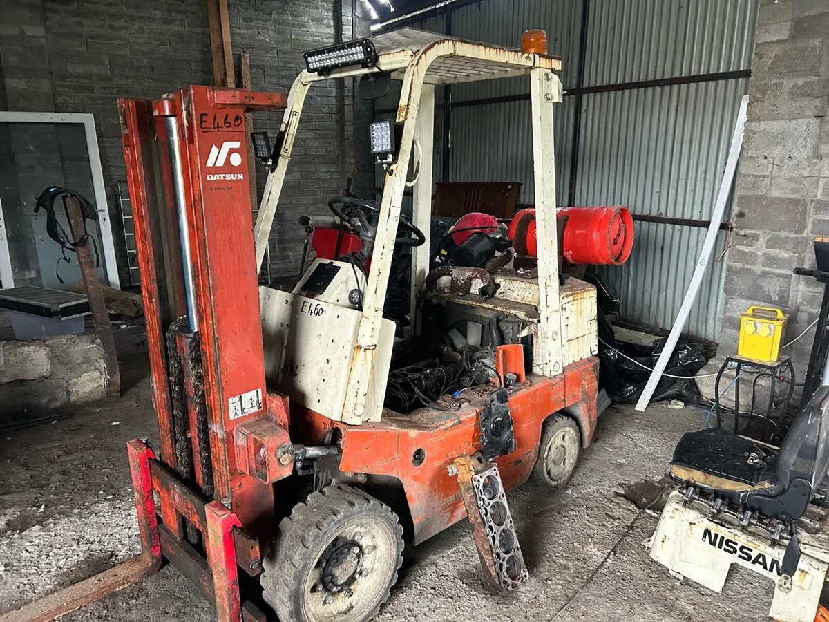 Nissan Datsun forklift - Image 1