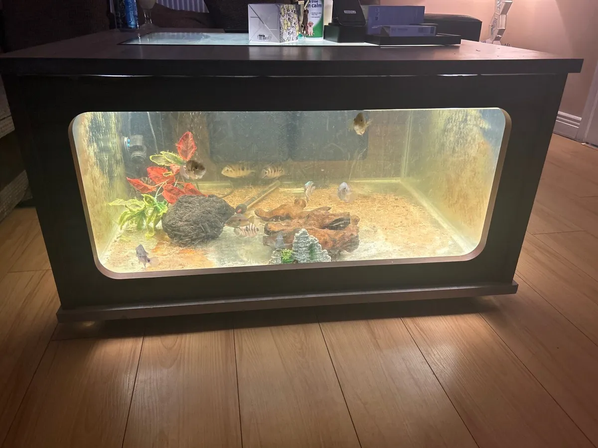 Fish tank with fish - Image 1