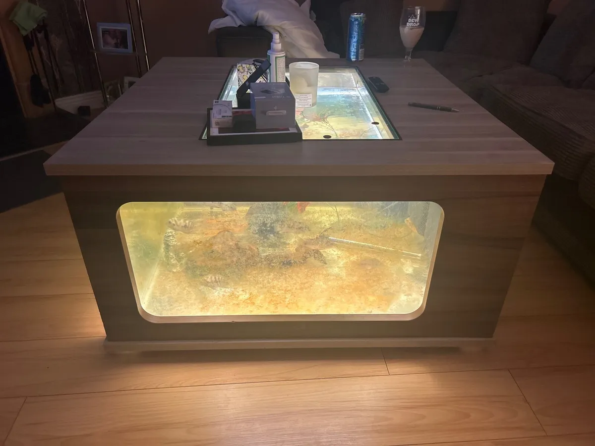 Fish tank with fish - Image 2