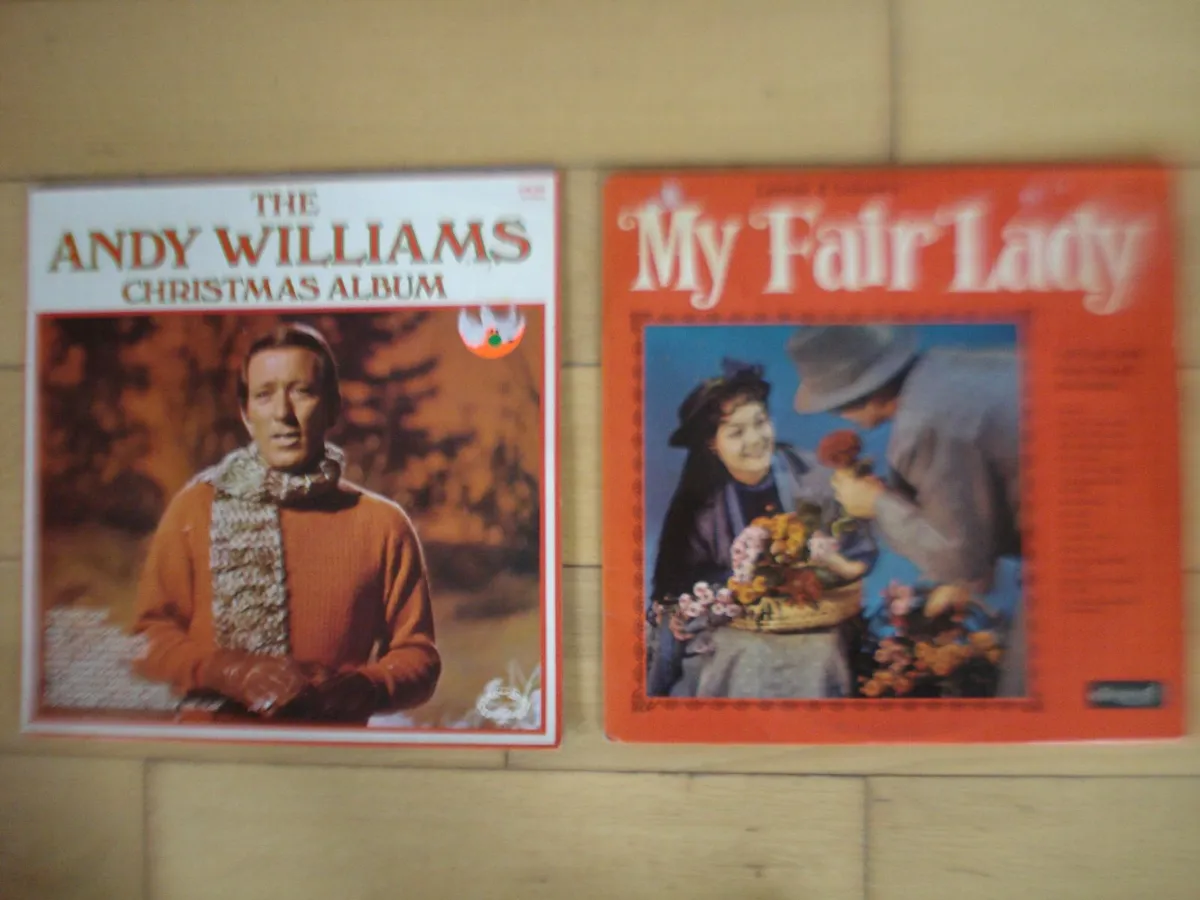 COLLECTION OF OLD 12 INCH VINYL LPs. - Image 1