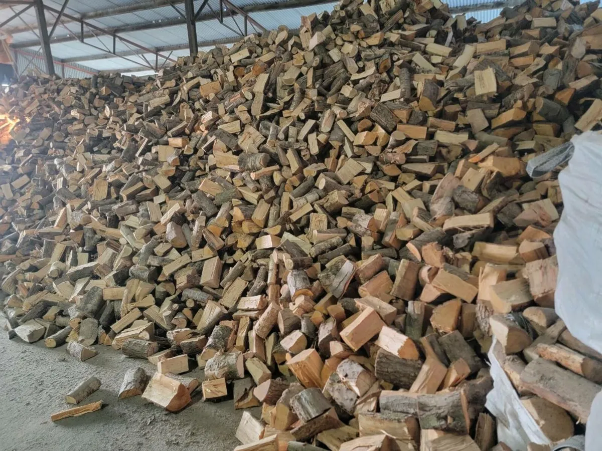 Hardwood firewood - Image 2