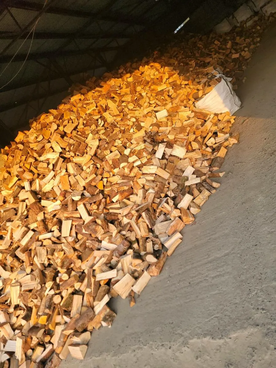 Hardwood firewood - Image 3
