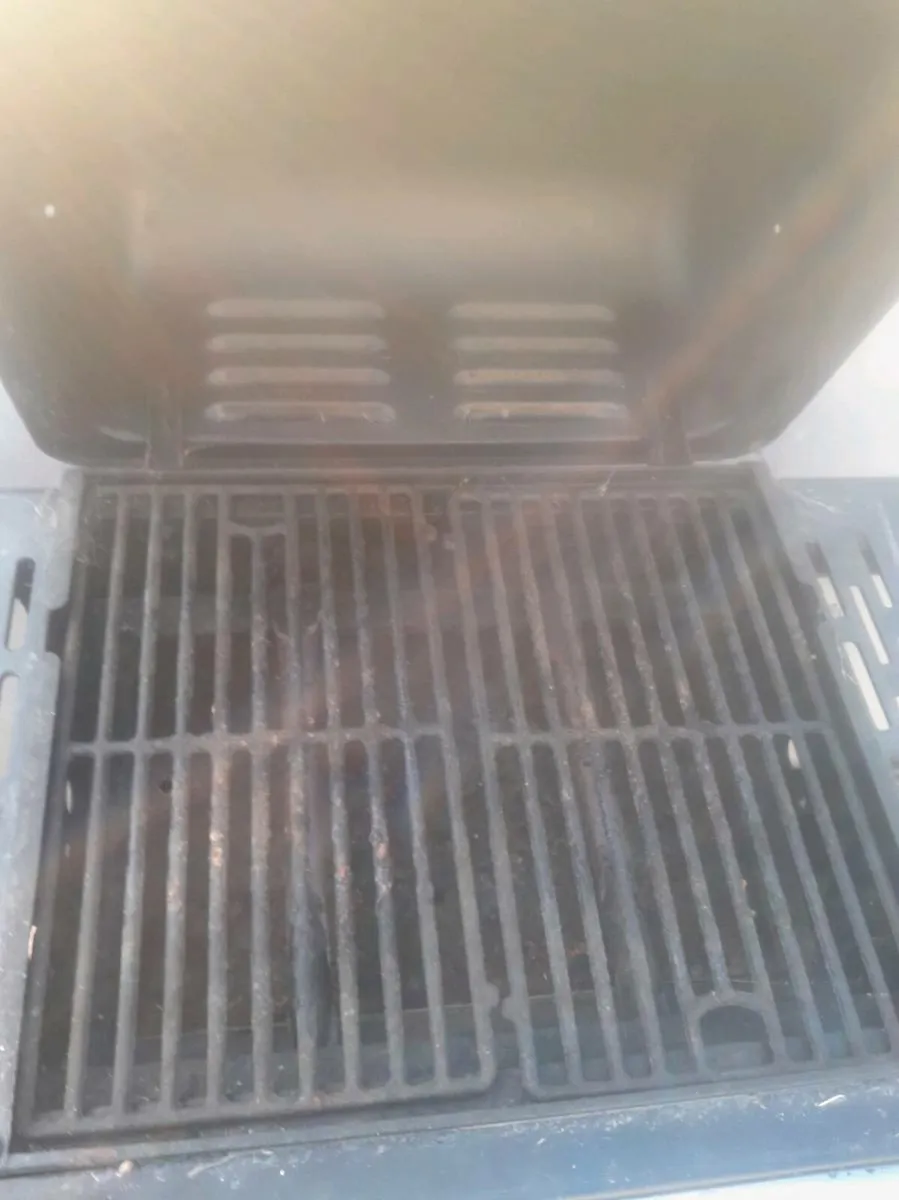 BBQ - Image 2
