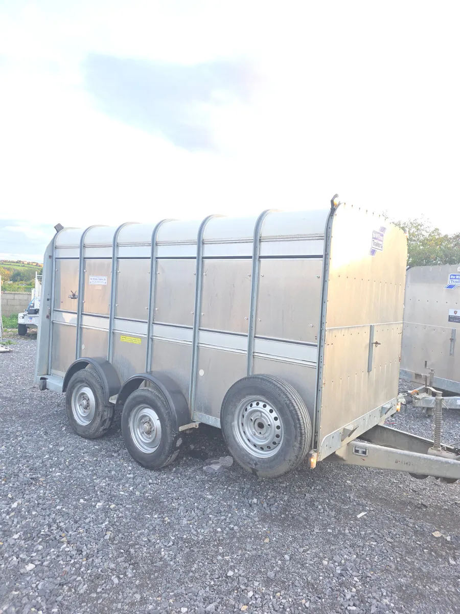 Mint 12ft iforwilliams with decks and tank - Image 1