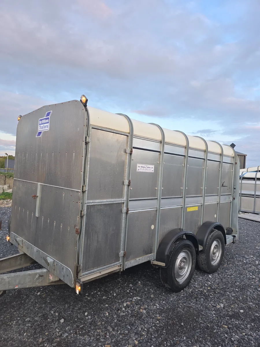 Mint 12ft iforwilliams with decks and tank - Image 4
