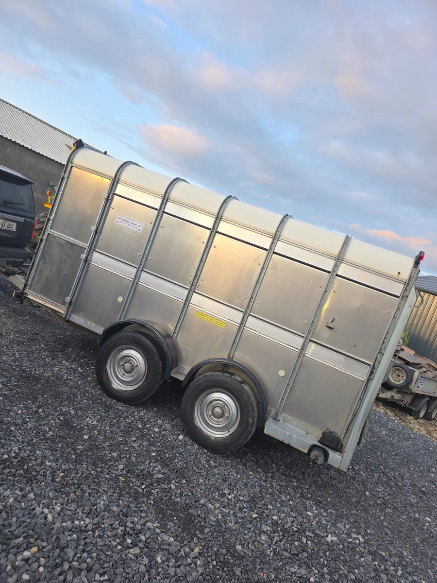 Mint 12ft iforwilliams with decks and tank - Image 3