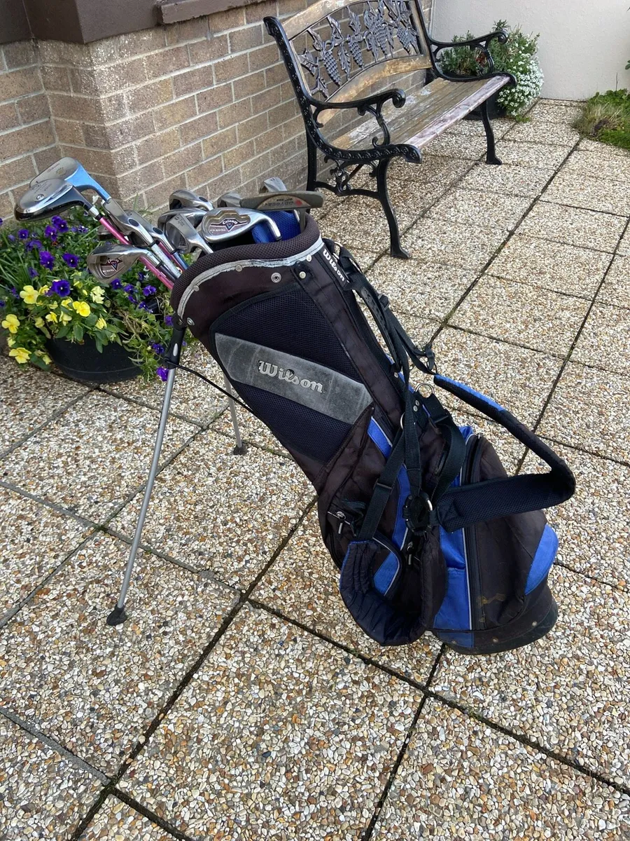 Lady’s.  Clubs.  &.  Bag - Image 1