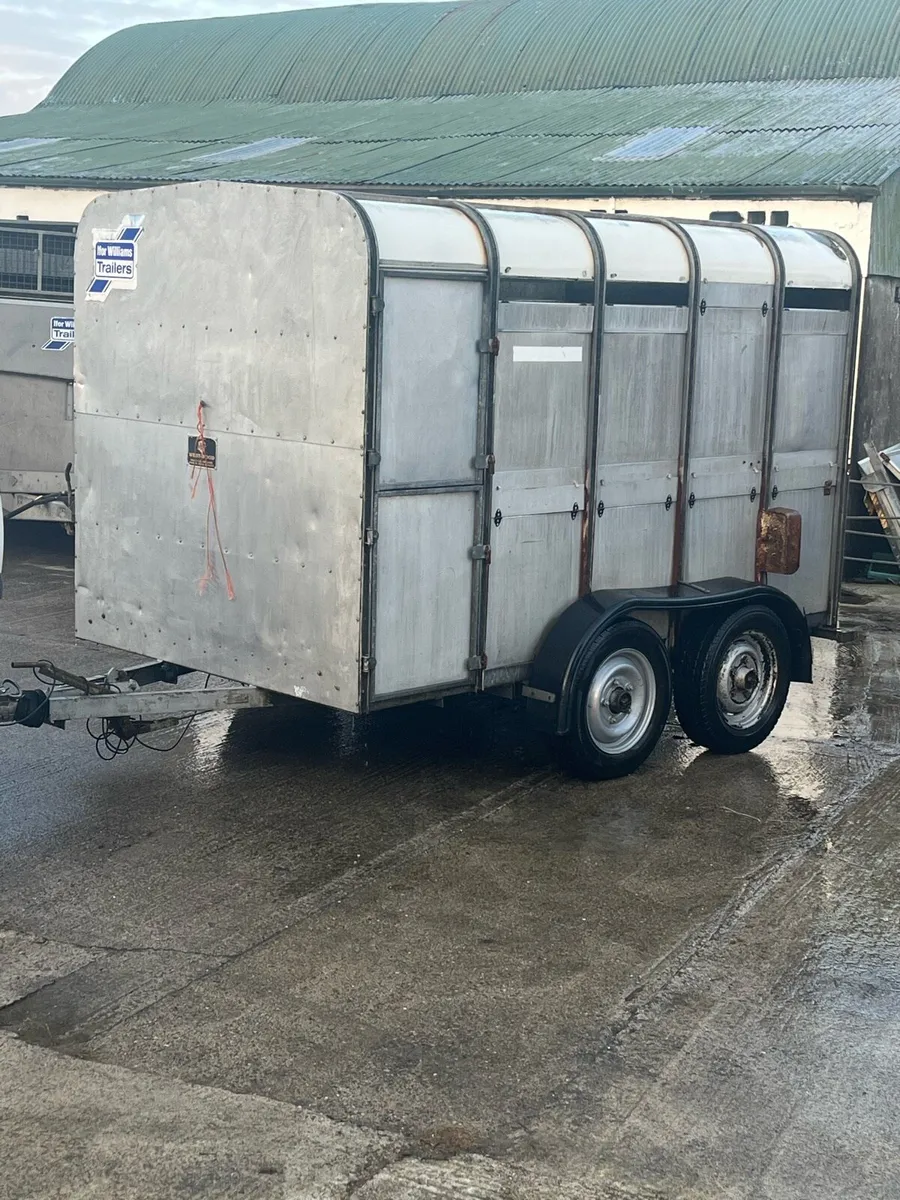 10x5’10 ifor Williams - Image 1
