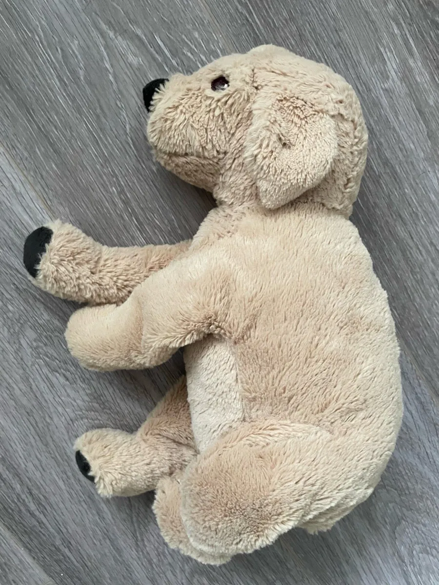 Doggie Teddy Soft Toy - Image 2