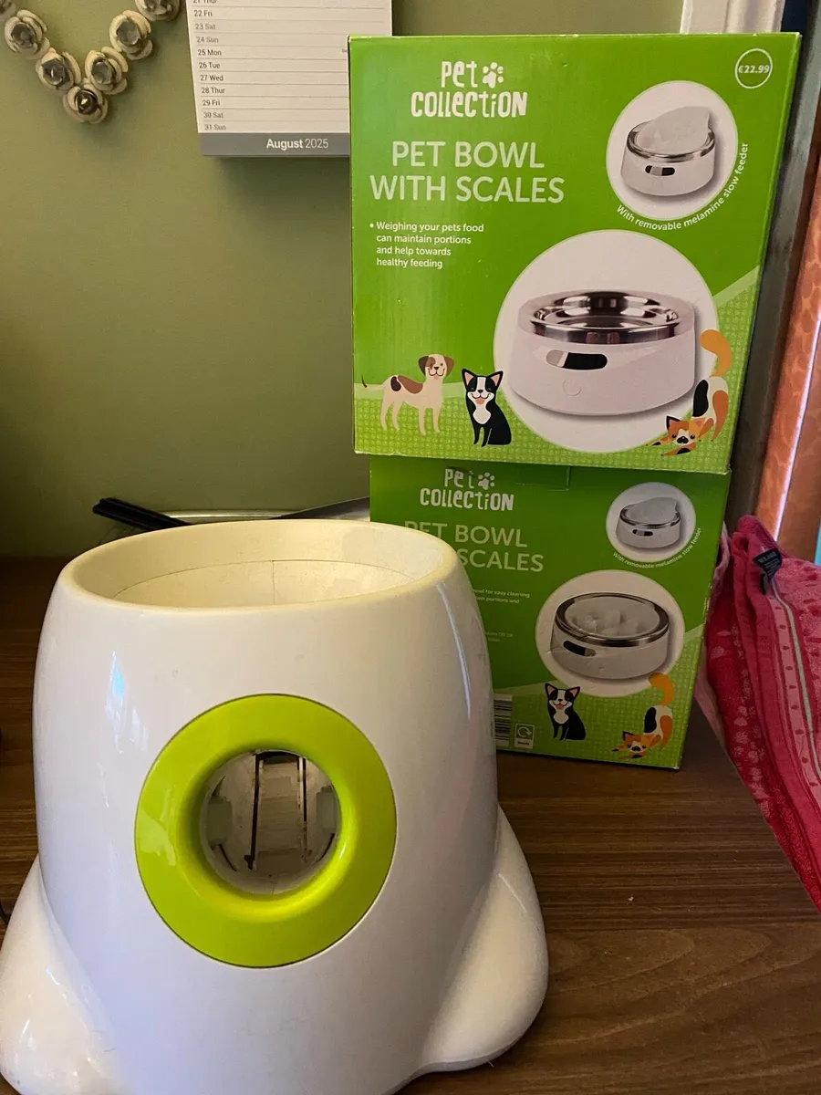 Dogs bowls