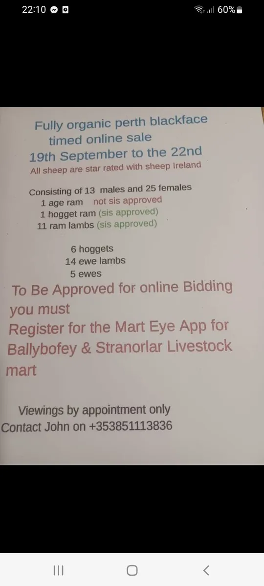 Organic sheep - Image 1
