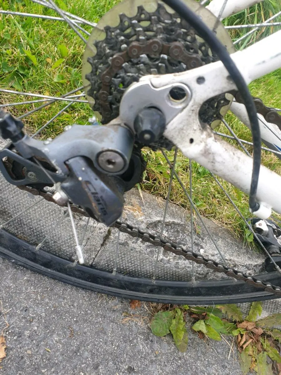 3 RACER BIKES - Image 3