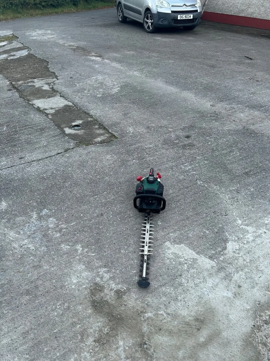 Chainsaw - Image 2